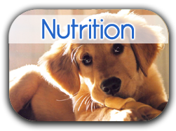 Nutrition Button